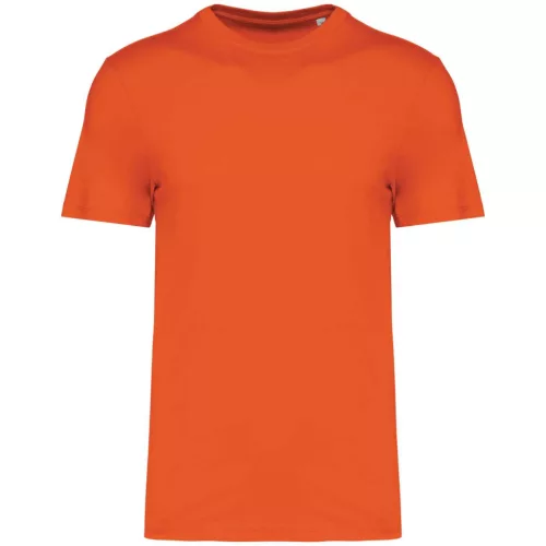 Native Spirit - Környezetbarát, egyenes szabású unisex póló - Sütőtök - 2XL