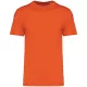 Native Spirit - Környezetbarát, egyenes szabású unisex póló - Sütőtök - 3XL