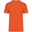 Native Spirit - Környezetbarát, egyenes szabású unisex póló - Sütőtök - 4XL