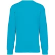 Native Spirit - Egyenes szabású, kerek nyakú unisex pulóver - Világos türkiz - L